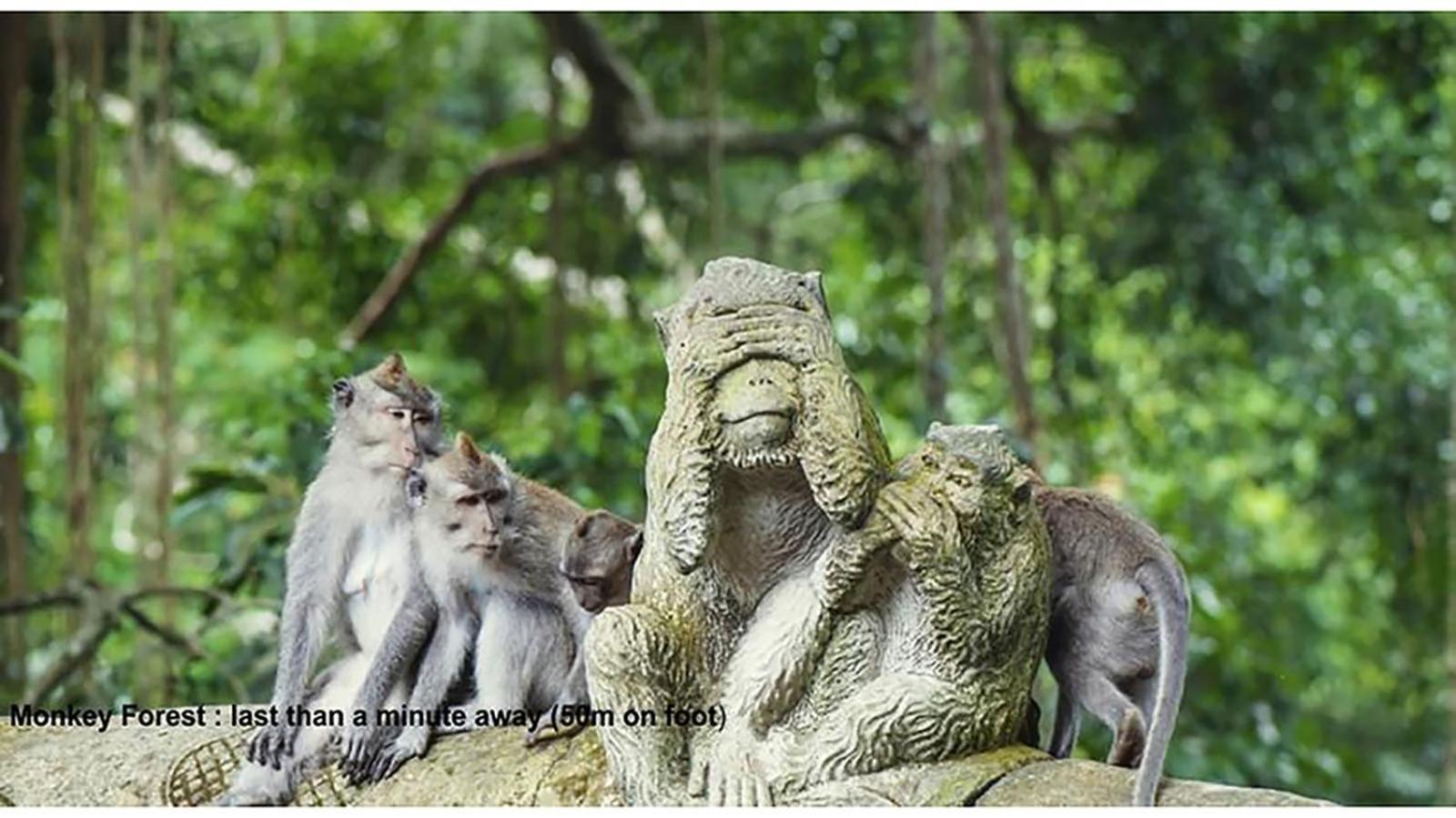 Pande Permai Bungalows Ubud Exteriör bild